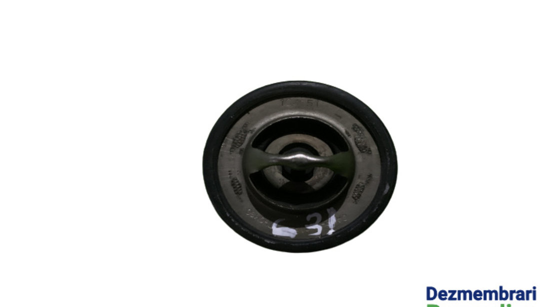 Termostat Renault Megane 2 [2002 - 2006] Hatchback 5-usi 1.6 MT (113 hp) K4M-T7 / 60