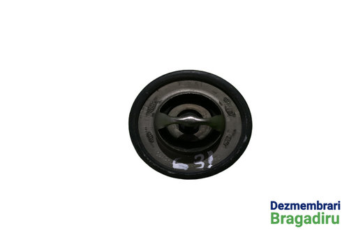 Termostat Renault Megane 2 [2002 - 2006] Hatchback 5-usi 1.6 MT (113 hp) K4M-T7 / 60