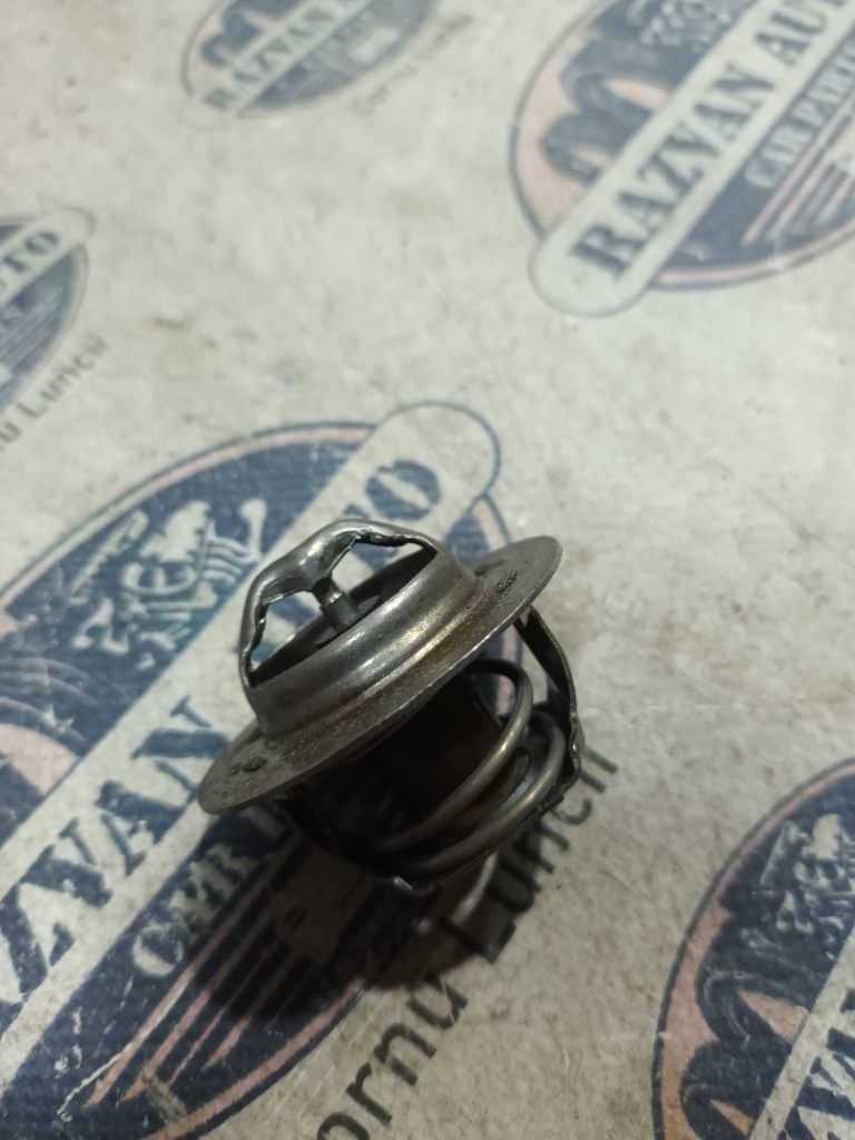 Termostat Renault Megane, 7700872554