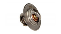 Termostat Renault MEGANE I Coupe (DA0/1_) 1996-200...