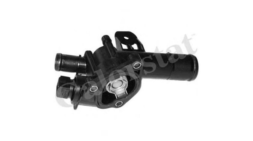 Termostat Renault MEGANE II (BM0/1_, CM0/1_) 2002-2011 #2 1106000QAJ