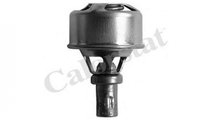 Termostat Renault SUPER 5 caroserie (S40_) 1984-19...