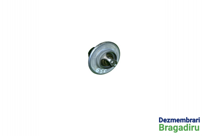 Termostat Seat Altea [2004 - 2009] Minivan 1.6 MT (102 hp) Cod motor: BSE, Cod culoare: LC9Z