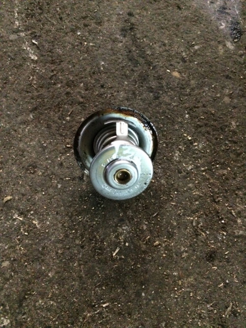 Termostat Skoda Octavia 2 [2004 - 2008] Combi wagon 5-usi 1.9 TDI MT (105 hp) (1Z5)
