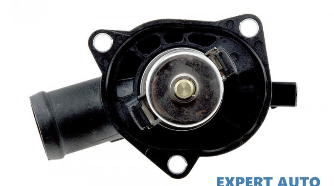 Termostat Volkswagen Golf 4 (1997-2005)[1J1] 032121121M