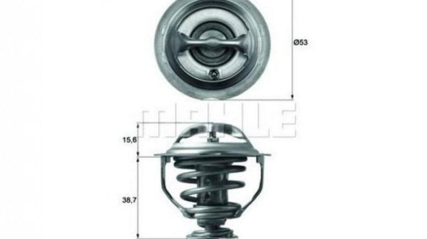 Termostat Volkswagen VW PASSAT ALLTRACK (365) 2012-2014 #2 06J121113C