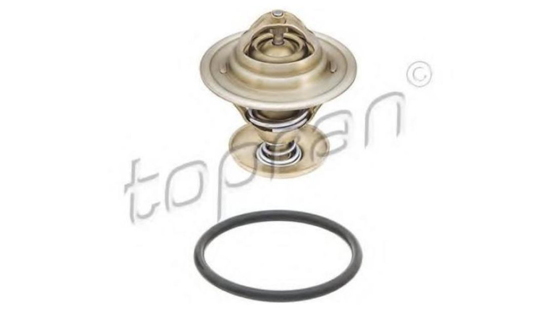 Termostat Volkswagen VW POLO cupe (86C, 80) 1981-1994 #2 0282840000