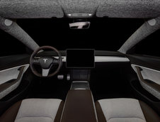 Tesla Model 3 de la Vilner