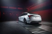Tesla Model 3 Performance
