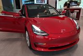 Tesla Model 3 - Poze cu defectele