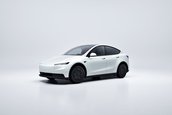 Tesla Model Y Standard