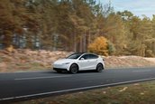 Tesla Model Y Standard