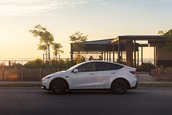 Tesla Model Y Standard