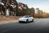 Tesla Model Y Standard