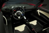 Tesla Roaster Sport