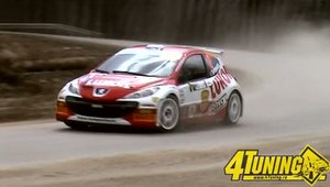 Tess Rally Brasov 2010 - Proba speciala 6