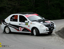 Tess Rally Brasov 2010