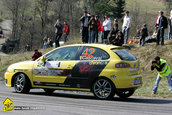 Tess Rally Brasov 2010