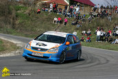 Tess Rally Brasov 2010
