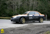 Tess Rally Brasov 2010
