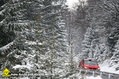 TESS Rally Brasov - Etapa 1 CNR 2009