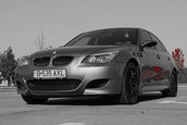 Test Drive BMW M5