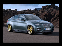 Click image for larger version

Name:	2008-BMW-X6-Sports-Activity-Coupe-xDrive35i-Front-And-Side-1600x1200.jpg
Views:	266
Size:	605.7 KB
ID:	590096