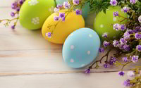 Click image for larger version

Name:	7021978-easter-eggs-background.jpg
Views:	18
Size:	1.61 MB
ID:	3089543