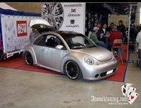 Click image for larger version

Name:	pics-max-12230-247276-beetle.jpg
Views:	48
Size:	63.6 KB
ID:	1478172