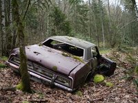 Click image for larger version

Name:	Abandoned cars (13).jpg
Views:	505
Size:	182.7 KB
ID:	1783480