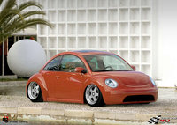 Click image for larger version

Name:	beetle_denees.jpg
Views:	56
Size:	1.02 MB
ID:	1565126
