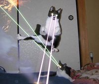 Click image for larger version

Name:	LaserCats.jpg
Views:	89
Size:	32.9 KB
ID:	991877