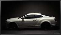 Click image for larger version

Name:	Bentley Cont SS 4.jpg
Views:	9
Size:	1.73 MB
ID:	3144364