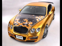 Click image for larger version

Name:	2008-ASI-Bentley-W66-GTS-Gold-Bonnet-1280x960.jpg
Views:	408
Size:	373.1 KB
ID:	819237