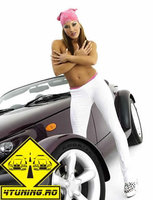 Click image for larger version

Name:	plymouth_prowler_sexylady3_copy_183.jpg
Views:	736
Size:	77.6 KB
ID:	44967