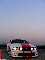 Click image for larger version

Name:	mustang.jpg
Views:	44
Size:	256.4 KB
ID:	1339007