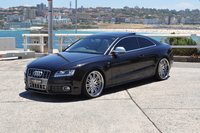 Click image for larger version

Name:	S5MeetatBondi28.jpg
Views:	499
Size:	381.4 KB
ID:	754520