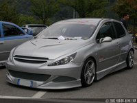 Click image for larger version

Name:	Peugeot_307_017.jpg
Views:	85
Size:	136.4 KB
ID:	149753