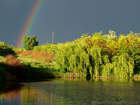 Click image for larger version

Name:	04 rainbow over the forest.jpg
Views:	42
Size:	793.0 KB
ID:	1466121