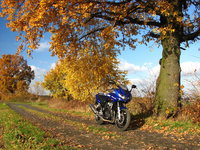 Click image for larger version

Name:	2007-11-11-bikepics-potd.jpg
Views:	215
Size:	976.2 KB
ID:	745958