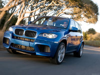 Click image for larger version

Name:	BMW-X5_M_2010_1600x1200_wallpaper_03.jpg
Views:	39
Size:	515.5 KB
ID:	1225289
