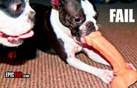 Click image for larger version

Name:	chew-toy-fail-dog-dildo.jpg
Views:	303
Size:	167.0 KB
ID:	1908437