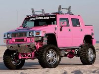 Click image for larger version

Name:	hummer-pink-0.jpg
Views:	29
Size:	31.8 KB
ID:	476636