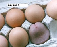 Click image for larger version

Name:	badegg.jpg
Views:	230
Size:	23.3 KB
ID:	365743