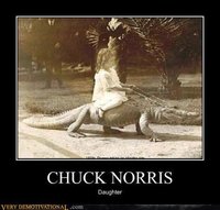 Click image for larger version

Name:	chuck norris 2.jpg
Views:	90
Size:	35.7 KB
ID:	2318877