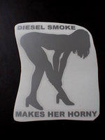 Click image for larger version

Name:	diesel.JPG
Views:	34
Size:	124.8 KB
ID:	2107257