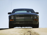 Click image for larger version

Name:	mustang.jpg
Views:	84
Size:	63.7 KB
ID:	1979249