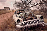 Click image for larger version

Name:	Abandoned cars (3).jpg
Views:	770
Size:	170.5 KB
ID:	1783470