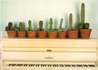 Click image for larger version

Name:	cactus.JPG
Views:	33
Size:	221.3 KB
ID:	116389