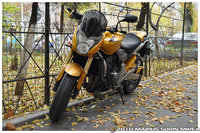 Click image for larger version

Name:	autumn_1.jpg
Views:	49
Size:	630.5 KB
ID:	1802191